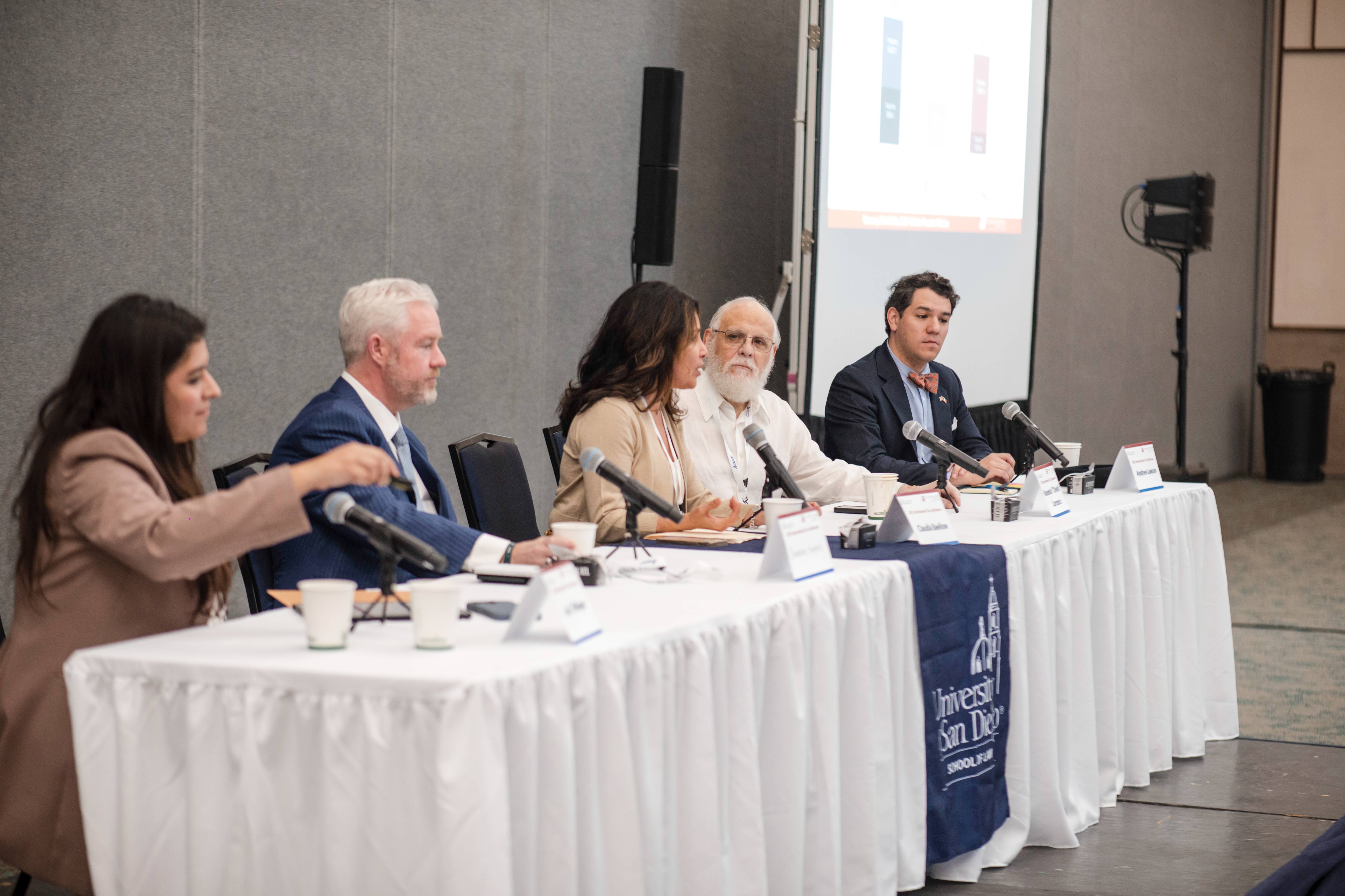 Panel discussion, International Tax Institute